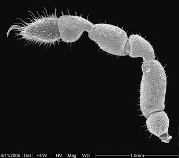 Media type: image;   Invertebrate Zoology 134690